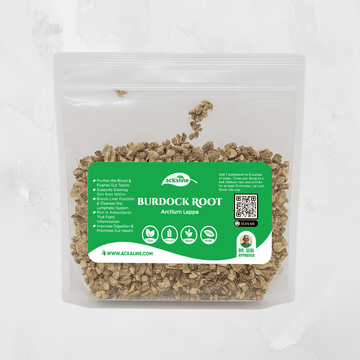 Burdock Root (Arctium lappa)