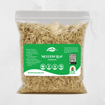 Mullein Leaf (Verbascum thapsus)